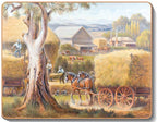australian placemats coasters