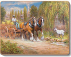 australian placemats coasters