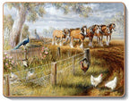 australian placemats coasters